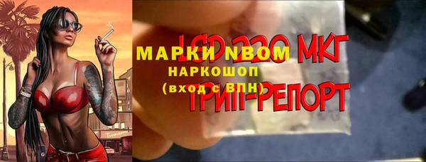 стаф Алексин