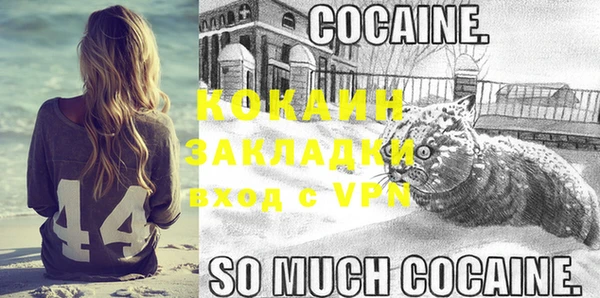 стаф Алексин