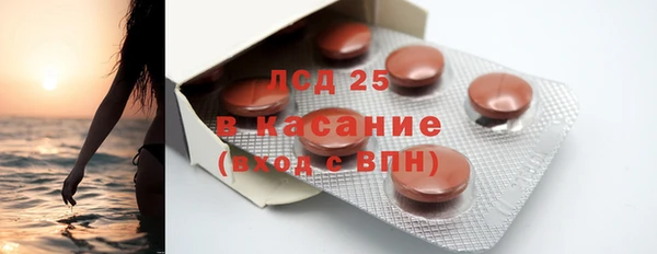 стаф Алексин