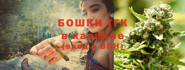 стаф Алексин