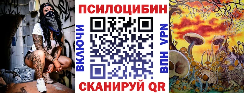 Псилоцибиновые грибы GOLDEN TEACHER  цена наркотик  Сортавала 